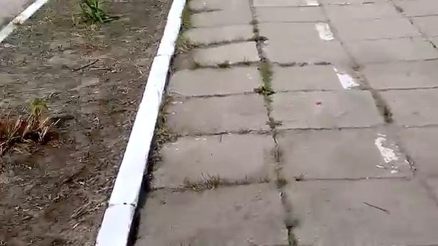 Слендр игра в реальности смотреть онлайн