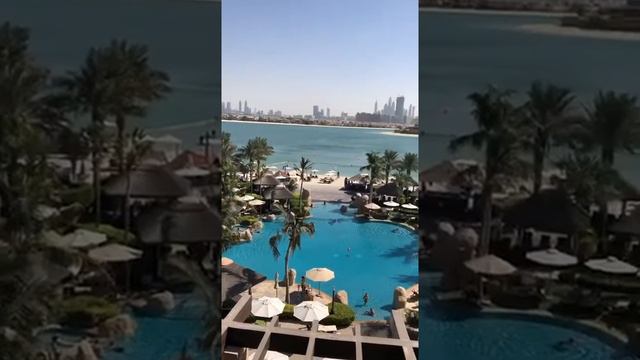Sofitel The Palm Dubai 5* смотреть онлайн