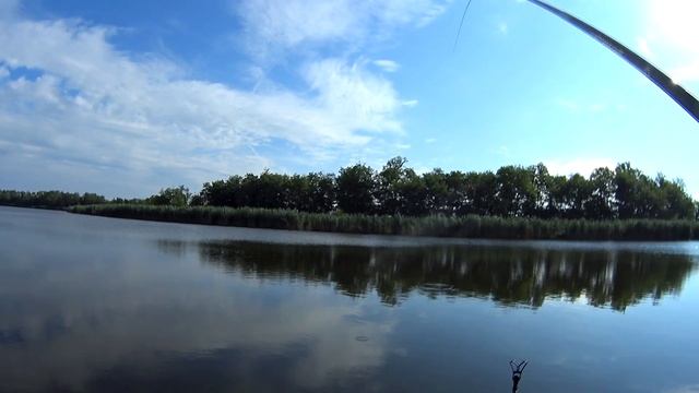 Карась клюет красиво поднимая поплавок. Ловля карася на маховую удочку. Поплавочная удочка на карас смотреть онлайн