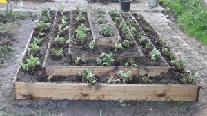 Грядка пирамида для клубники своими руками.