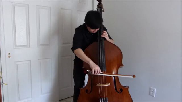 Giovanni Bottesini Double Bass Concerto No. 2, 3rd mvt смотреть онлайн
