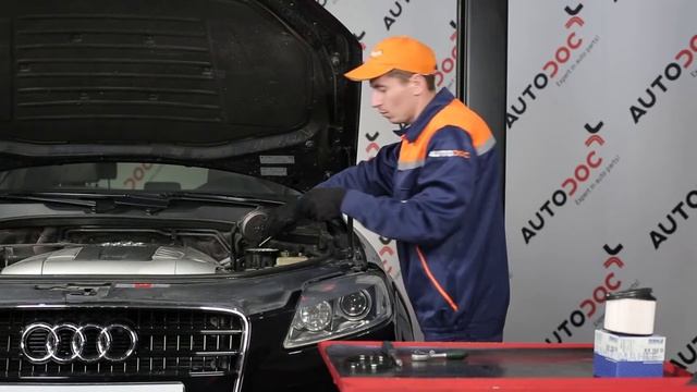 Cómo cambiar Filtro de combustible en AUDI Q7 4L [Instrucción] смотреть онлайн