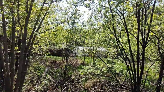 Купить участок земельный в городе Новосибирск смотреть онлайн