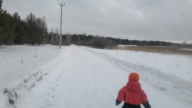 Прогулка по лесу. Возвращение Сиреноголового смотреть онлайн