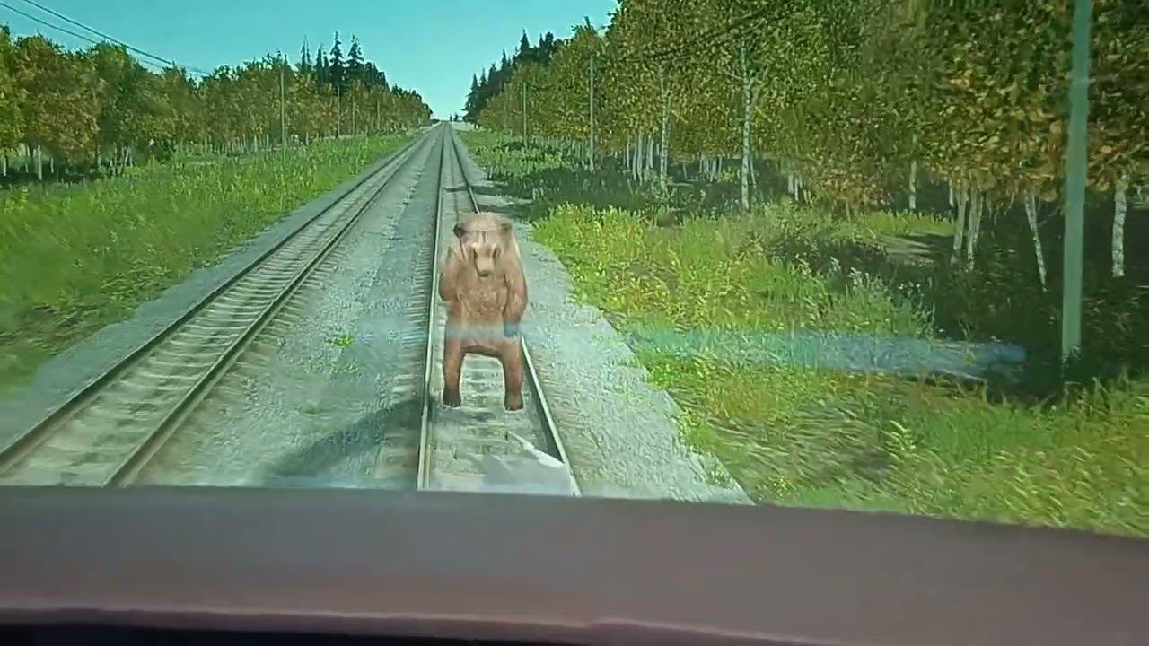 Неадекватный медведь на рельсах смотреть онлайн
