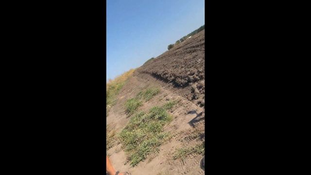 ЖЕСТОКИЙ Замес НЕ адекватные Фермеры МОЯ земля я всех УБЬЮ смотреть онлайн