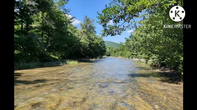 Positivity meditation. Позитивная медитация. #meditation #positivevibes смотреть онлайн