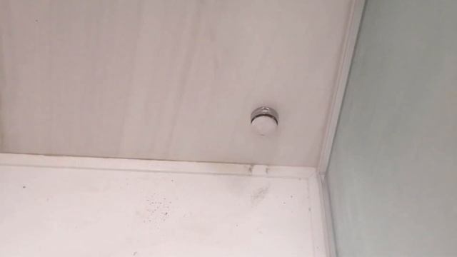 TYLO ПАРОГЕНЕРАТОР ХАМАМА | выполнили пуско-наладки и проверку полного цикла работы