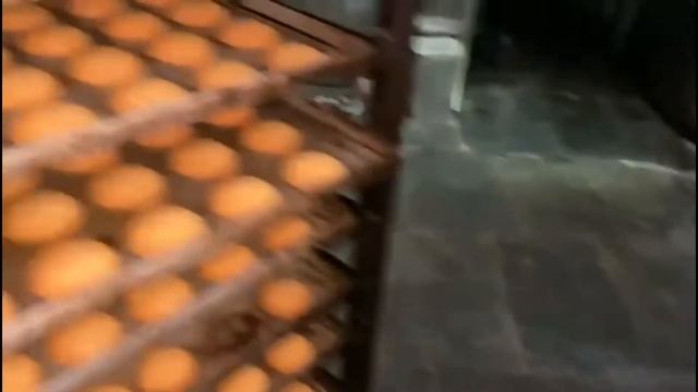 Bioprom pellet burner in biscuit manufacturing смотреть онлайн