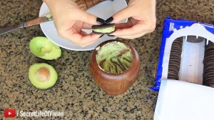 New Oreo Flavors: Avocado | Taste Test