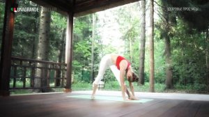 Здоровье простаты за 15 минут – Йога для начинающих.