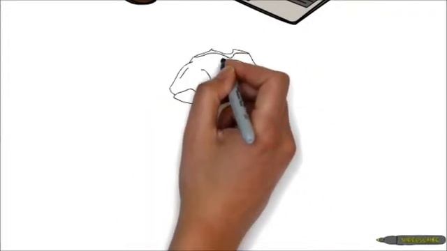 Мой сайт о Ps3 (Рисованное видео) смотреть онлайн