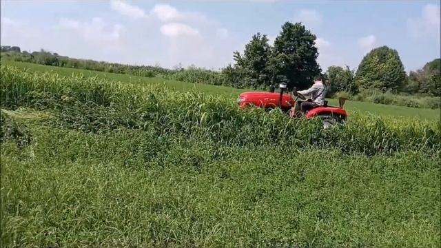 трактор синтай 244 косим суданку смотреть онлайн