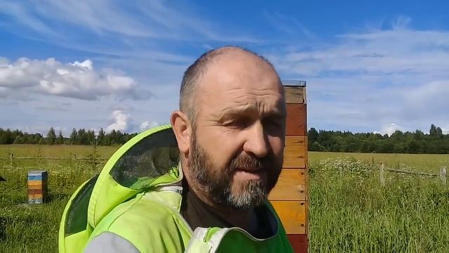 Можно ли заработать на пчеловодстве? смотреть онлайн