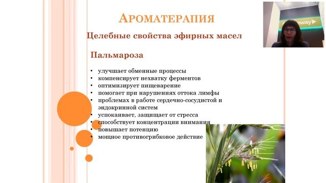 Ароматерапия- возврат к природе 11.11.19 смотреть онлайн