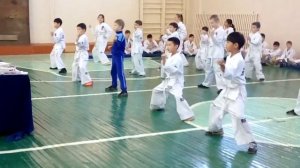 Аттестация по таэквондо на белый пояс