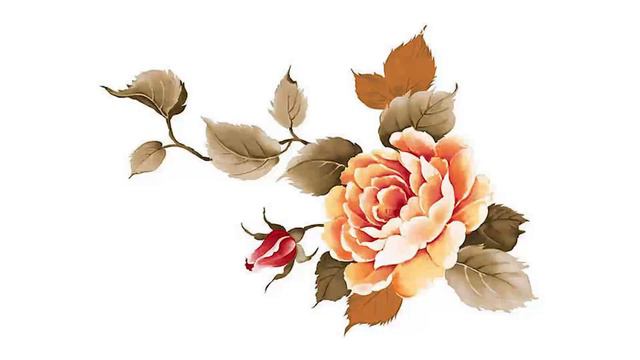 Danna Garcia & Segundo Cernadas - bella calamidades смотреть онлайн