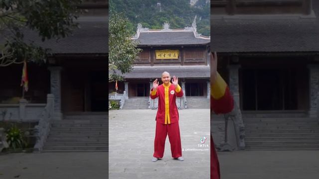Bài Vẩy Tay Trị Bệnh: Tốt Cho Gan, Thận, Bệnh Dạ Dày