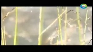 УЧЁНЫЕ СМОГЛИ УВИДЕТЬ ЭТО! ДУША ЧЕЛОВЕКА ЗАФИКСИРОВАНА ПРИБОРАМИ! ОНА СВЯЗАНА С ПОТУСТОРОННИМ .