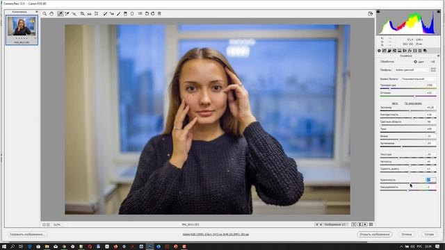 Обработка фотографии в Adobe Camera Raw смотреть онлайн