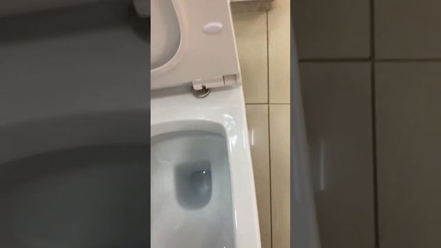 Отличный унитаз по невероятной цене! смотреть онлайн