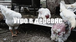 Утро в деревне Звуки природы