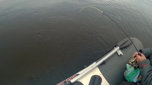 КРУПНЫЙ ЛЕЩ НА КОЛЬЦО. Ловля леща. Рыбалка на бортовые удочки смотреть онлайн