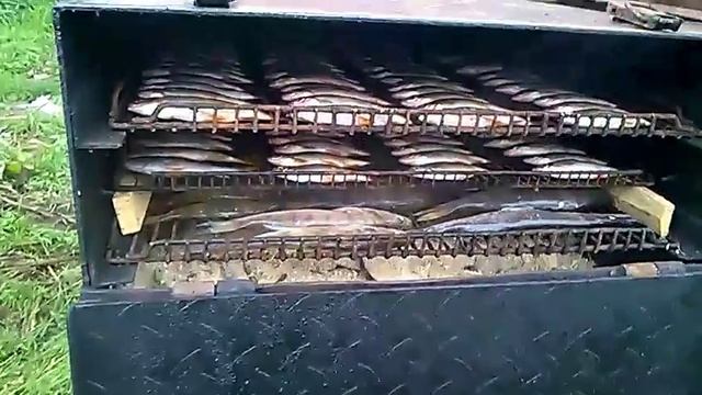 Горячее копчение речной рыбы. смотреть онлайн