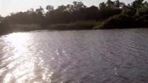 Река Кочеты, Красносельское. Платная рыбалка.