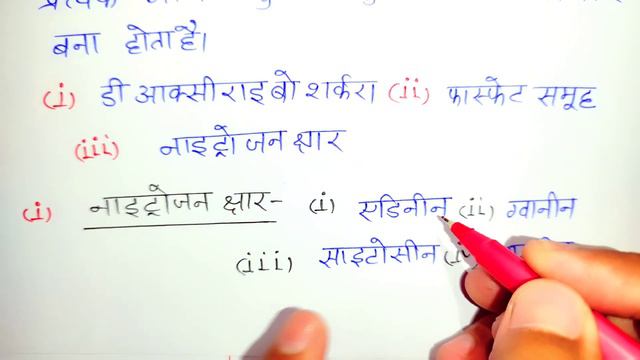 वाटसन एवं क्रिक का DNA मॉडल 12th Biology // Watson and Crick's DNA model Class 12th Biology 2024 смотреть онлайн