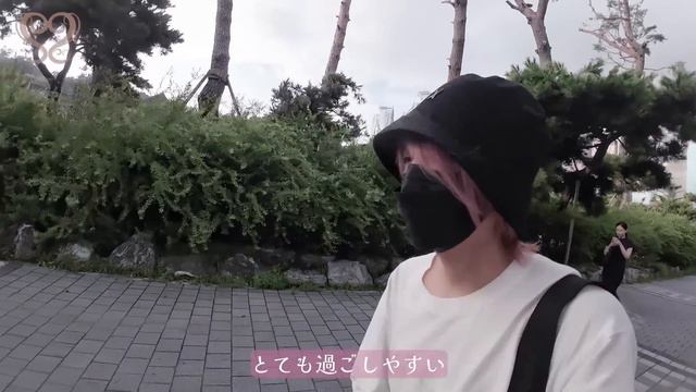 【vlog】韓国に行ってきました！【KOREA】 смотреть онлайн