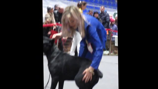 30-31.01.2016г "Зимний Кубок Харькова" 2*САС+Моно смотреть онлайн