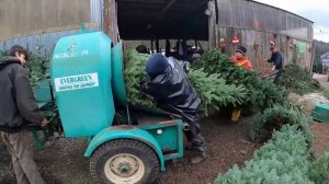 Поездка в лес за Ёлкой. Наряжаем Ёлку игрушками