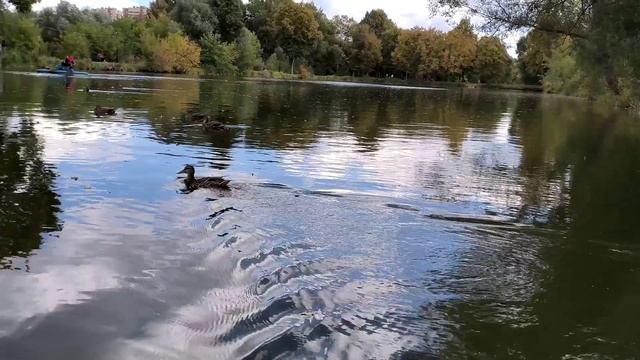 ??Команда школы №3 Чехова уже присоединилась к Всероссийской акции «Мой город в движении» смотреть онлайн