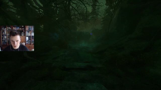 The Cursed Forest : ЧЁРНАЯ ХРЕНОТЕНЬ | Часть 2 (18+) смотреть онлайн