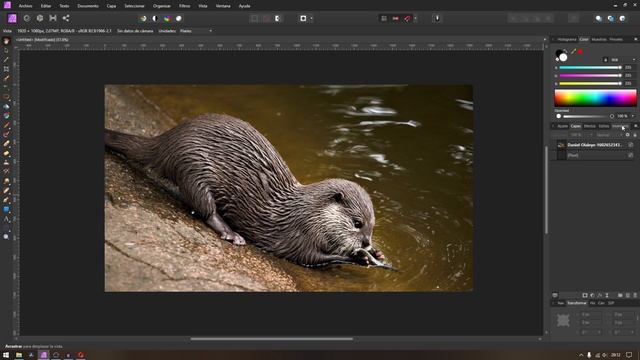 5 PASOS para INICIARTE en AFFINITY PHOTO [La mejor alternativa a Photoshop ✔] смотреть онлайн