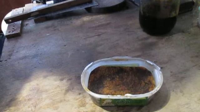 БГВ 6 Чёрная львинка питание мухи смотреть онлайн