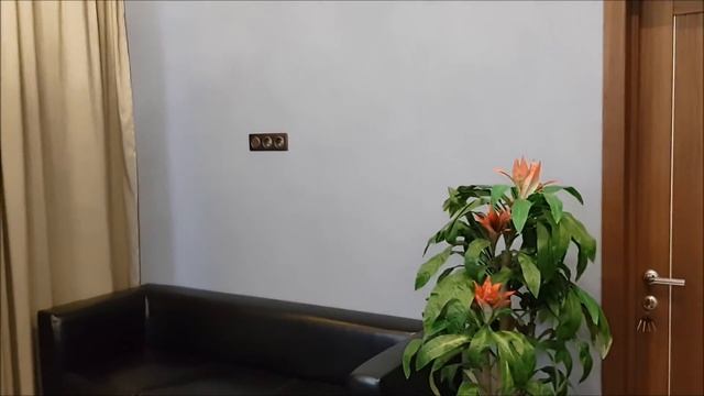 ДОМ моей МЕЧТЫ с бассейном, баней и потрясающей отделкой! Разыгрываем деньги среди подписчиков! смотреть онлайн