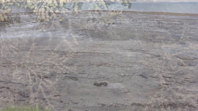 What Causes Tides? смотреть онлайн