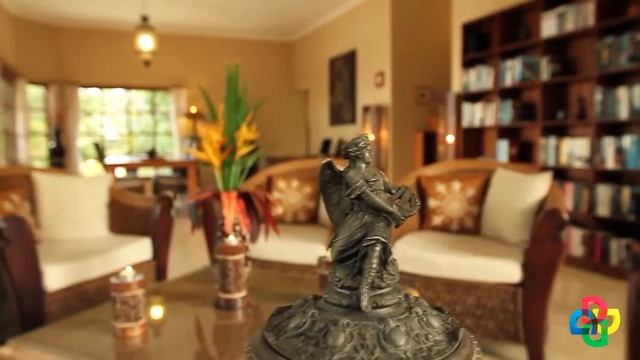 Gnetwork Бали 2014 смотреть онлайн