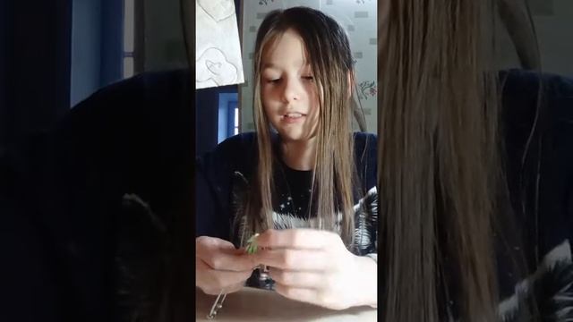 3 дяивая как украсить стол, как украсить карандаш и как украсить свои волосы. всё это в этом видео смотреть онлайн