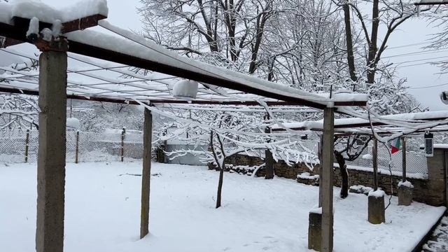 Скалско. Болгария. Сельская жизнь и снег в январе. Красоты Болгарии. 27 января 2023 смотреть онлайн