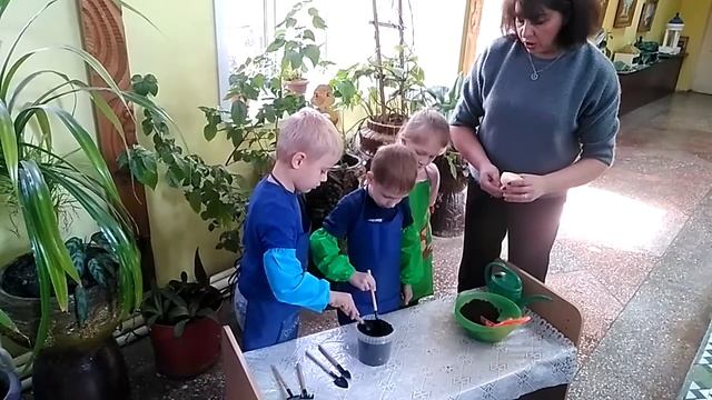 Экологический проект с детьми старшей группы смотреть онлайн