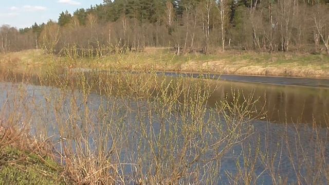 Река Угра Моторная лодка The Ugra river Motor boat смотреть онлайн
