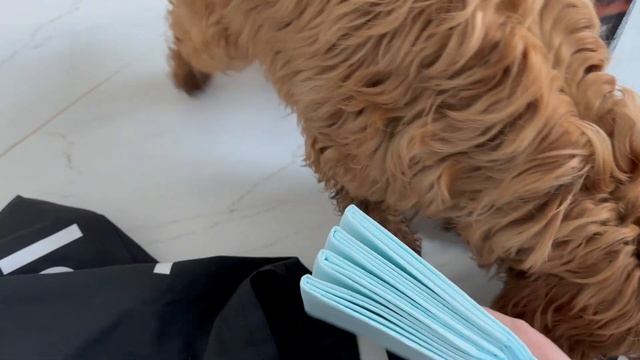 Сделай Себя Уникальным