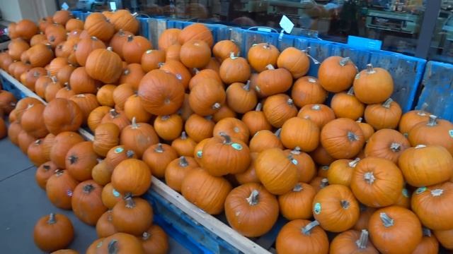 США 5430: Как подготовиться к эмиграции в США заранее смотреть онлайн