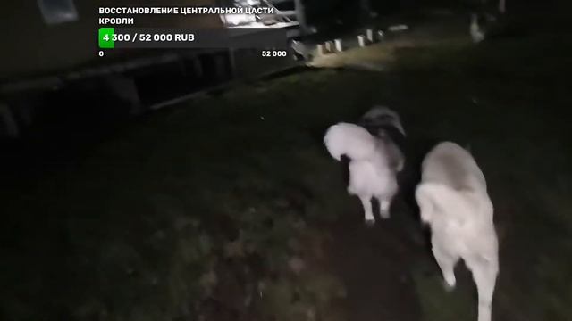 сегодня будем отдыхать с #хаски около костра