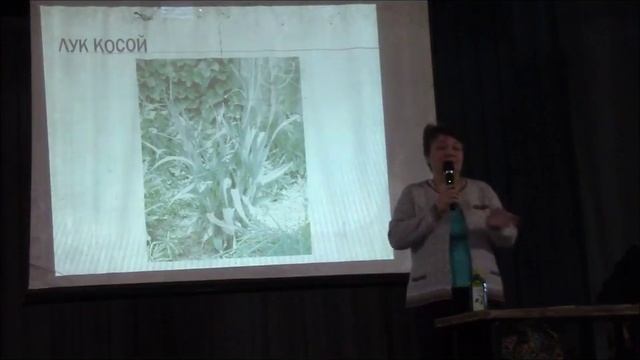 Многолетние луки КУзнецова Татьяна смотреть онлайн