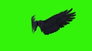 футаж крылья анимированные - скачать футаж для монтажа на зелёном фоне
