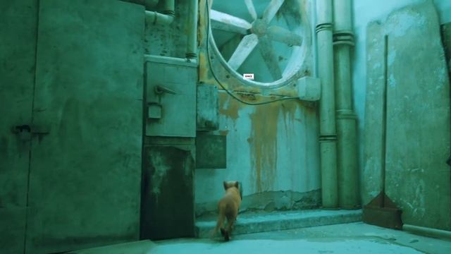 STRAY смотреть онлайн